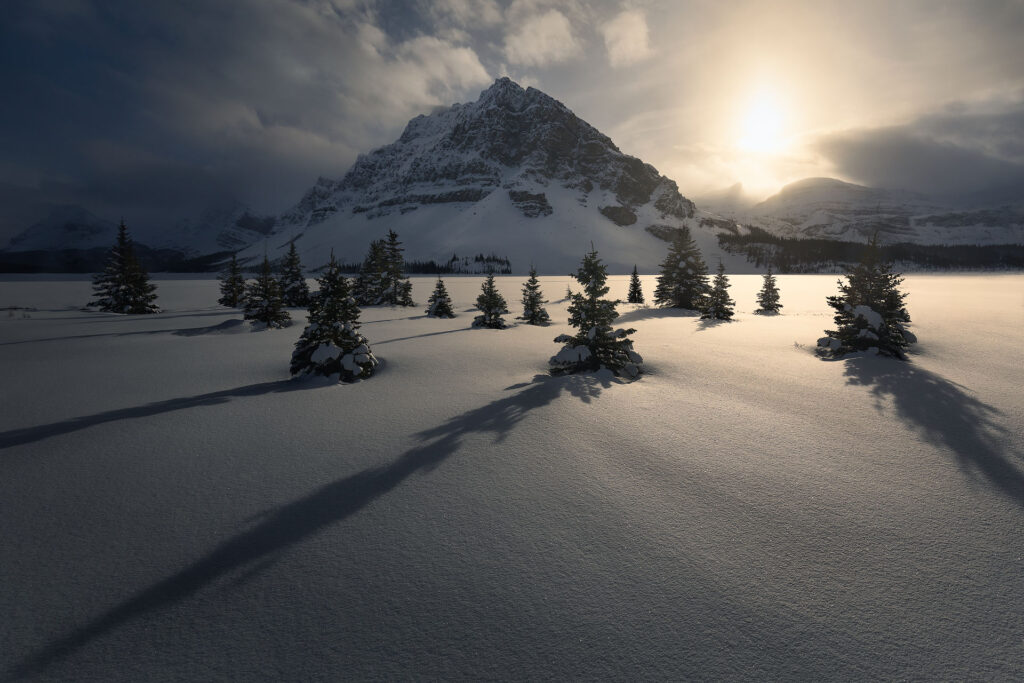 long tree shadows on glowing snow under a mountain