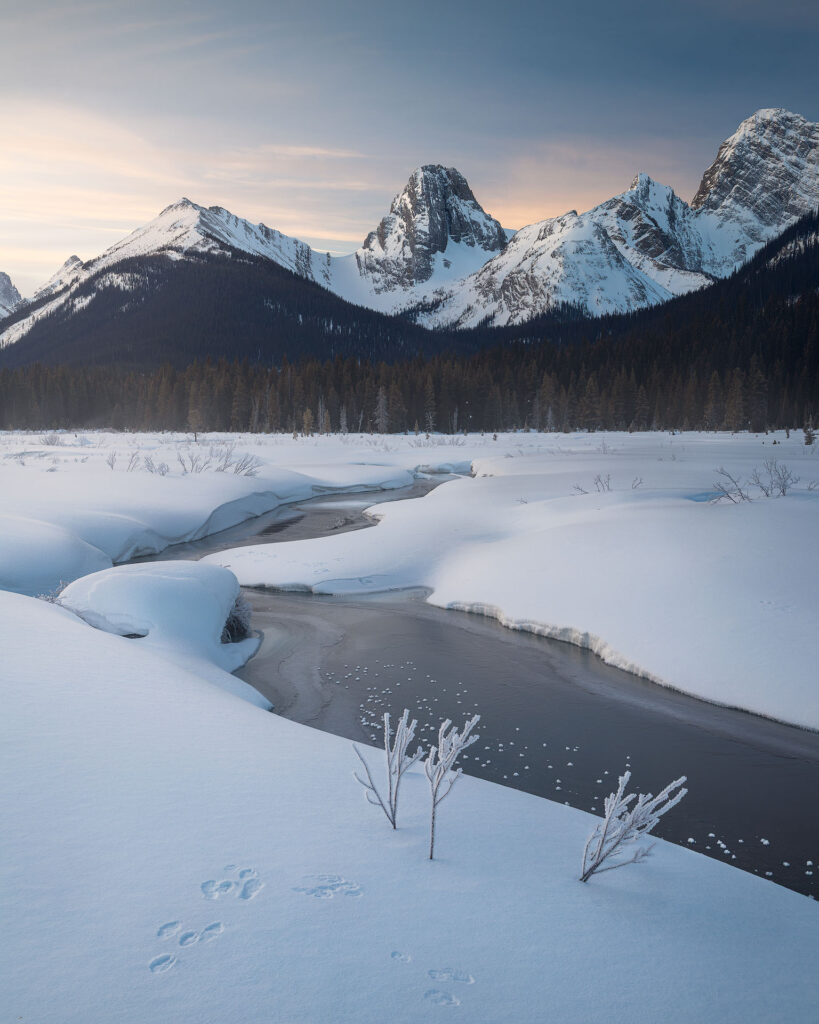 soft flowing snow and creek with frosted plants leading up to a dramatic winder mountain peak